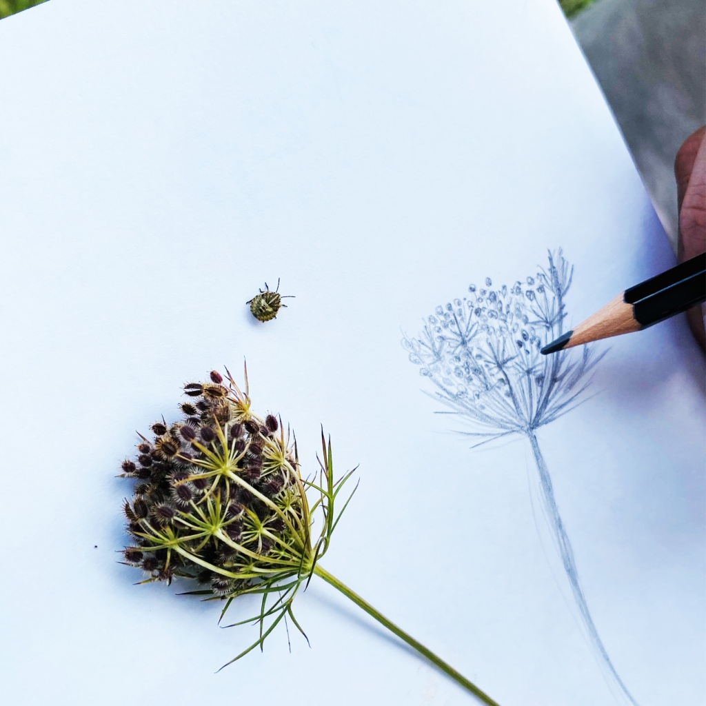 illustration nature Neuvième Planète