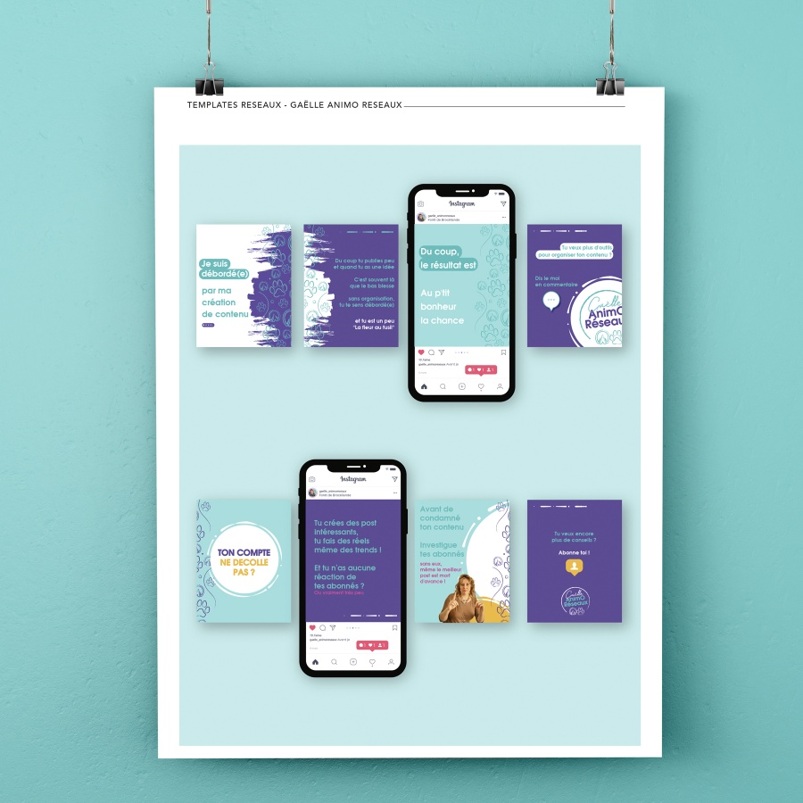 templates gaelle animo reseaux