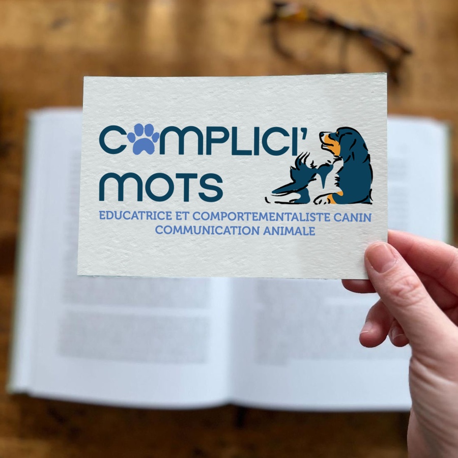 Logotype Complici'mots