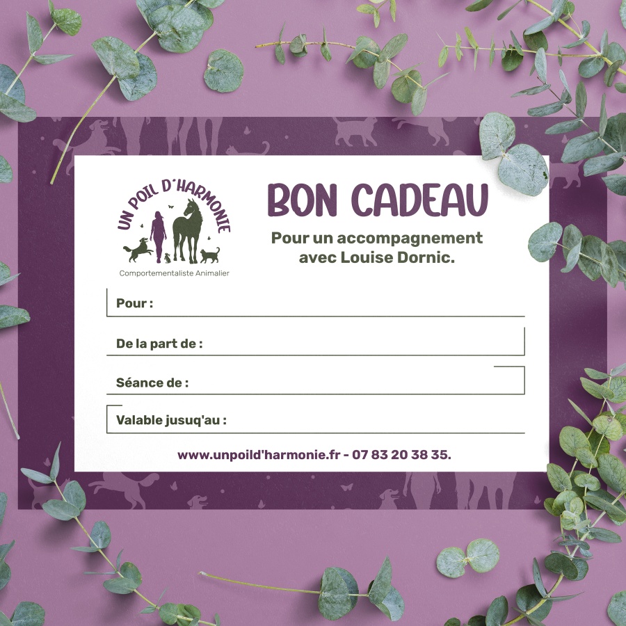 carte cadeau un poil d'harmonie