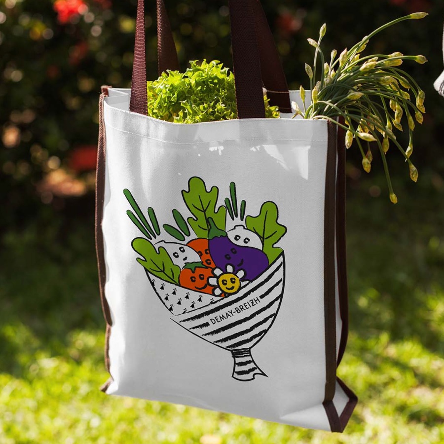 Identité visuelle DemayBreizh