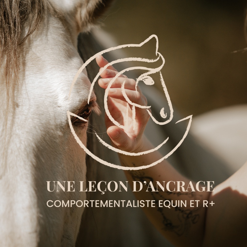 Une Leçon d&rsquo;Ancrage