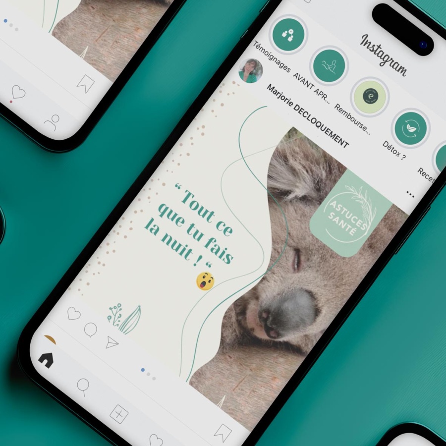 Réseaux Marjorie Decloquement